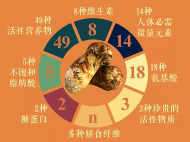 松茸的功效作用與營養(yǎng)價值